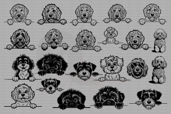 Cavapoo Dog SVG Bundle