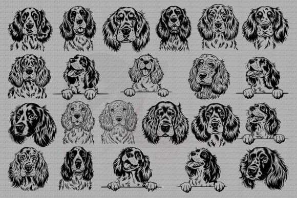 English Springer Spaniel Dog SVG Bundle