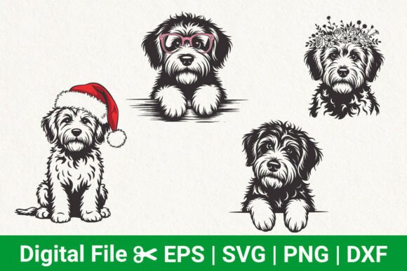 Fluffy Dog Svg Bundle