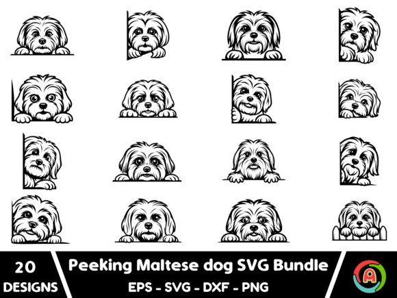 Maltese Peeking Dog Svg Bundle