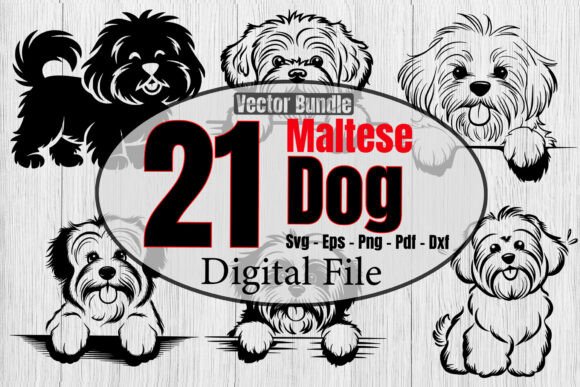 Maltese Svg Bundle for Embroidery Projects