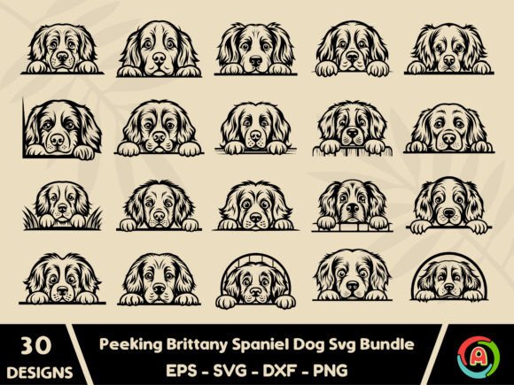 Peeking Brittany Spaniel Dog Svg Bundle