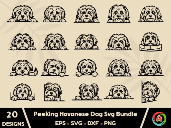 Peeking Havanese DOG Svg Bundle
