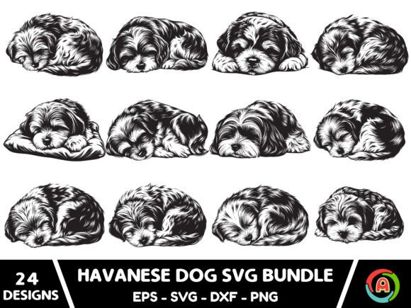 Sleeping Havanese Dog Svg Bundle